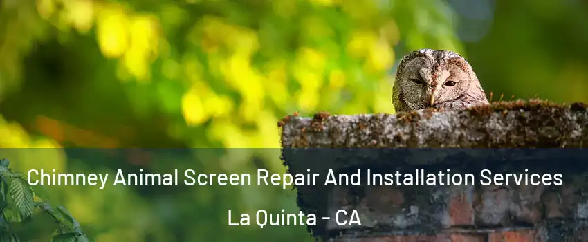  Chimney Animal Screen Repair And Installation Services La Quinta - CA