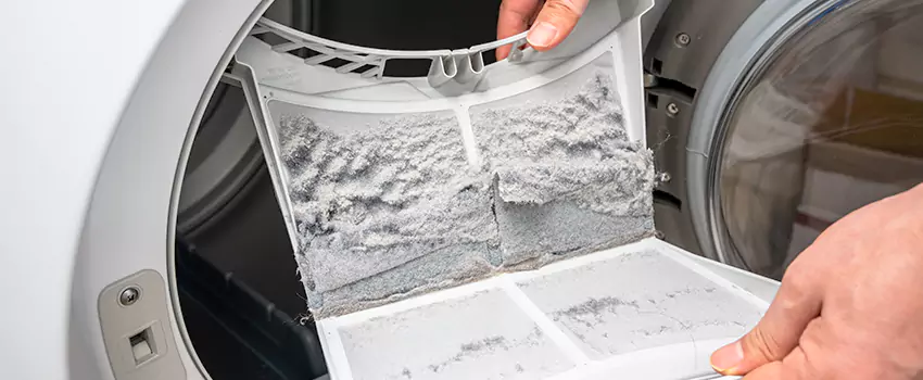 Best Dryer Lint Removal Company in La Quinta, California